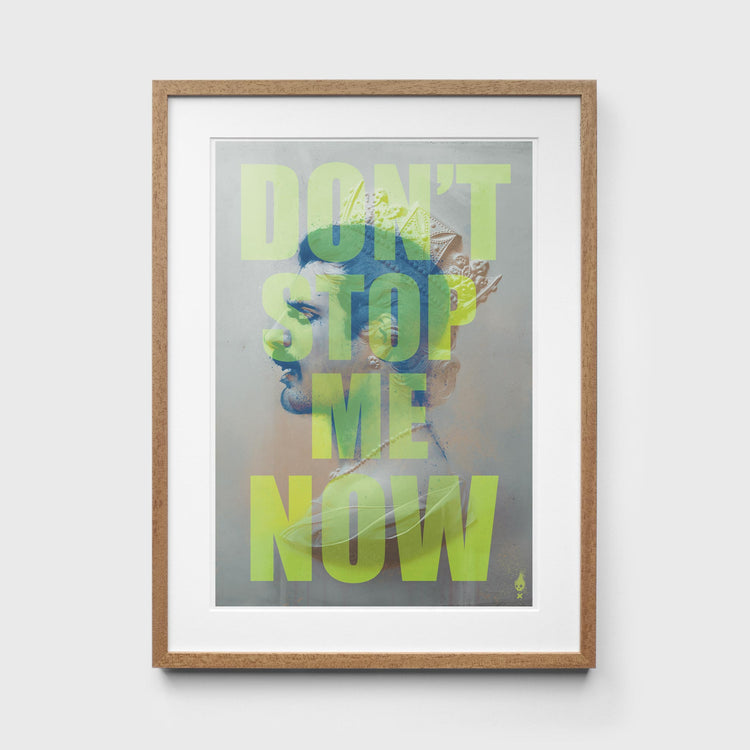 Freddie Mercury Don&